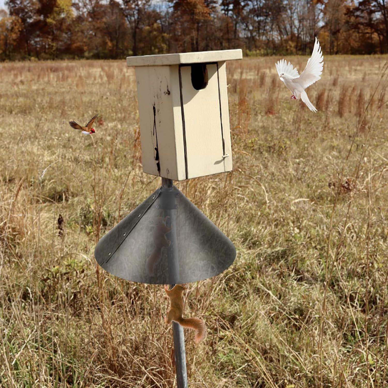 2 Pack Squirrel Baffle Accessory for Bird Feeder Pole N241