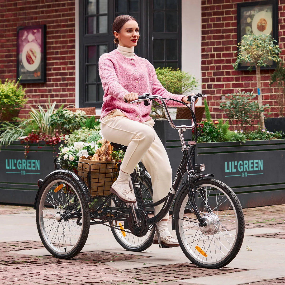 250W 26" 3 Wheel Electric Tricycle Black Y5162