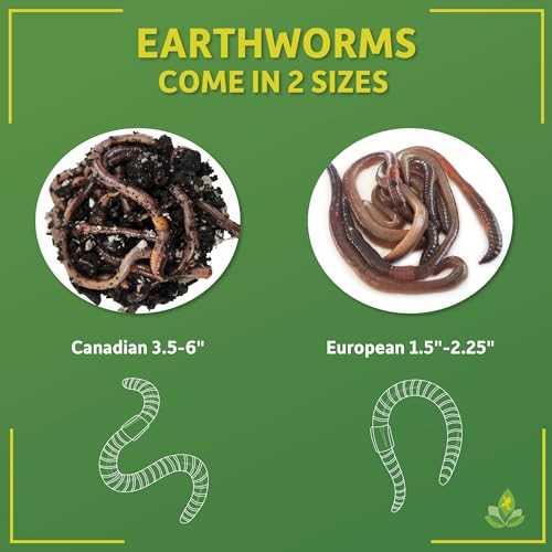 12 count Live Feed Reptile Food T54493