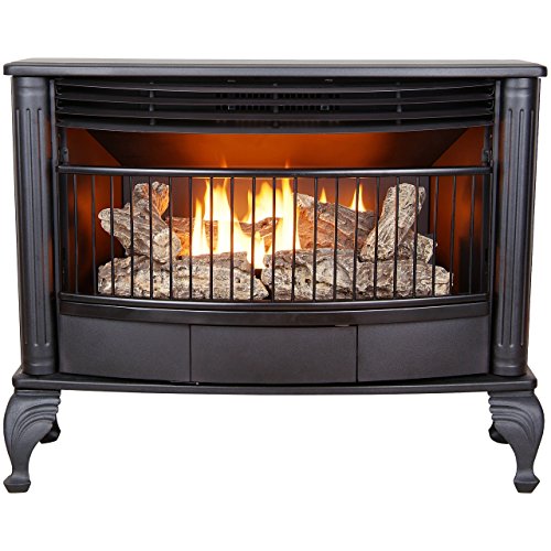 Ventless Dual Fuel Stove 25,000 BTU V336