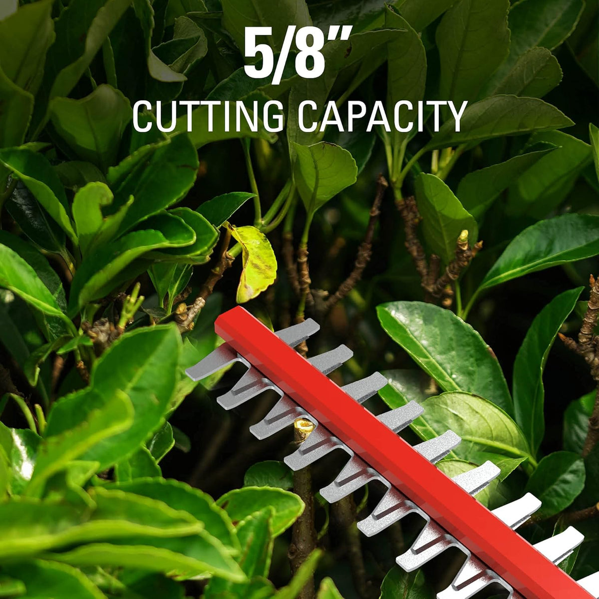 40V 20" Cordless Pole Hedge Trimmer with 2.0Ah Battery and Charger T5555