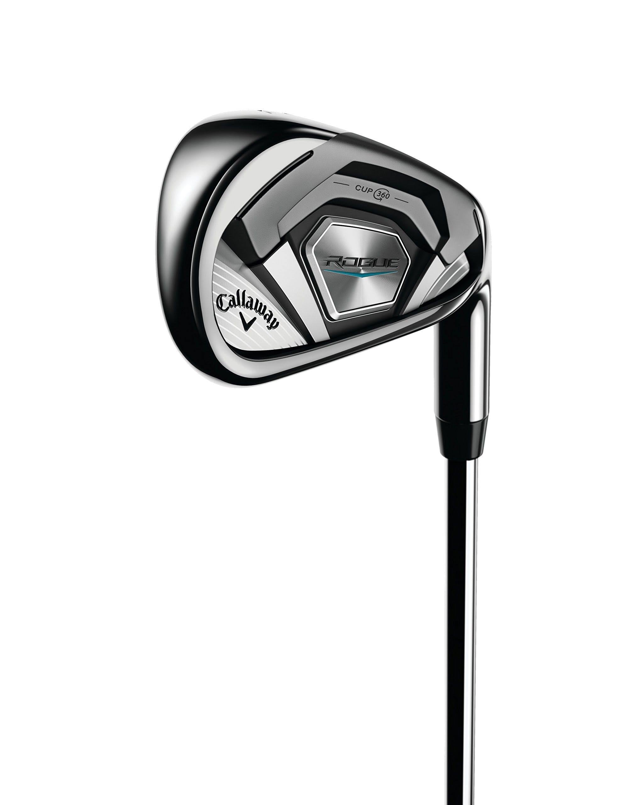 Steel Golf Irons R309