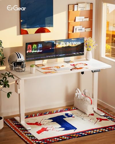 48 x 24 Inches Height Adjustable Electric Standing Desk with Memory F174