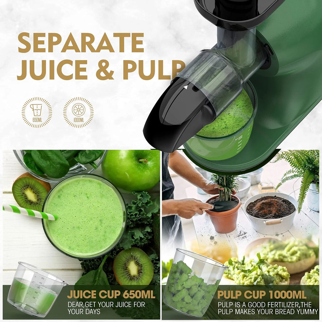 Slow Masticating Cold Press Juicer E4124