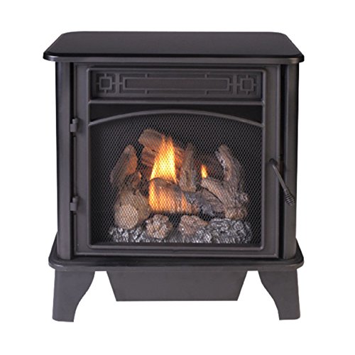 Black Dual Fuel Gas Stove with Remote Control G2285