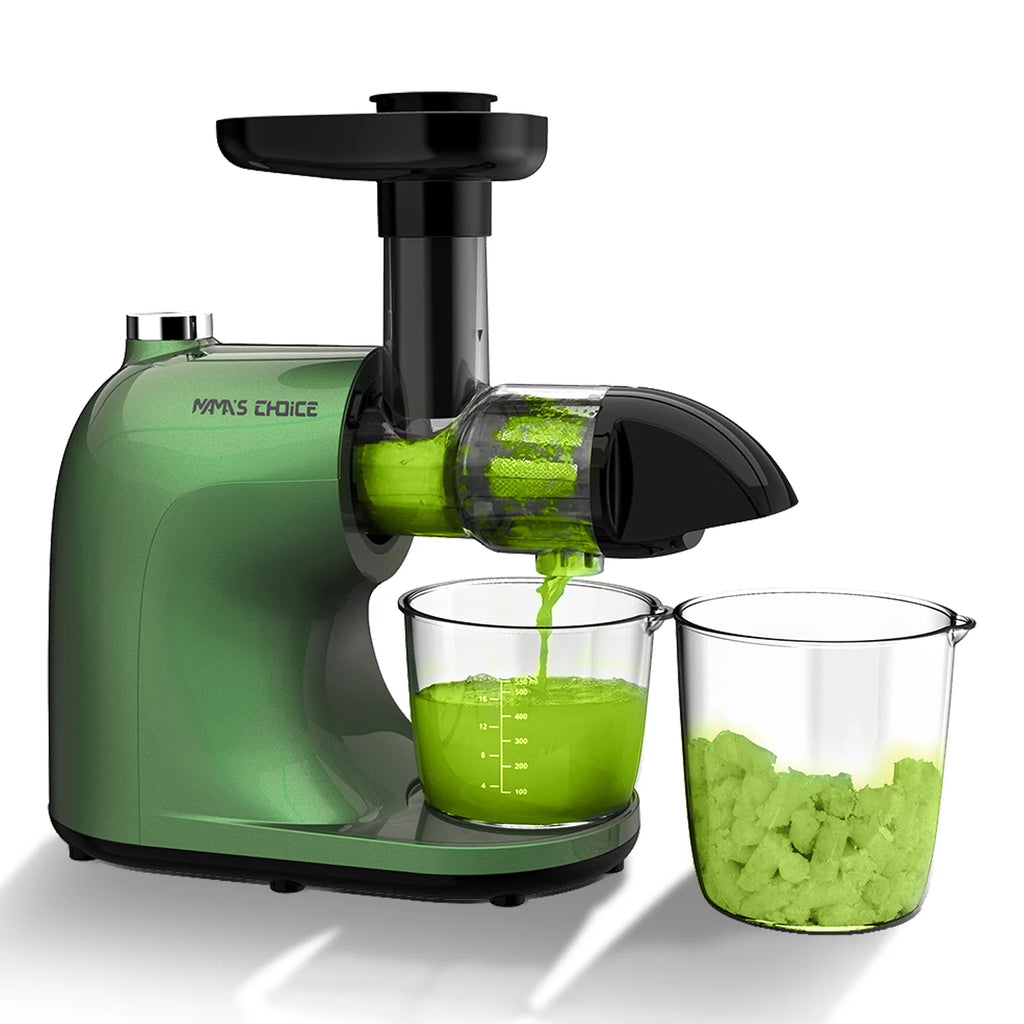 Slow Masticating Cold Press Juicer E4124
