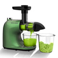 Slow Masticating Cold Press Juicer E4124