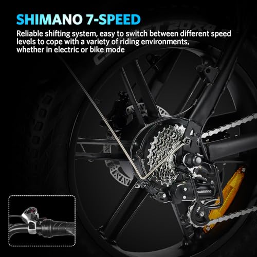 Electric Bike with 20" Fat Tire, 7-Speed Gear, Removable Battery E789548