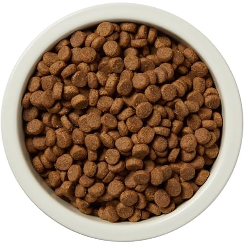 Dry Dog Food, Salmon and Brown Rice, 30 lb Bag K388