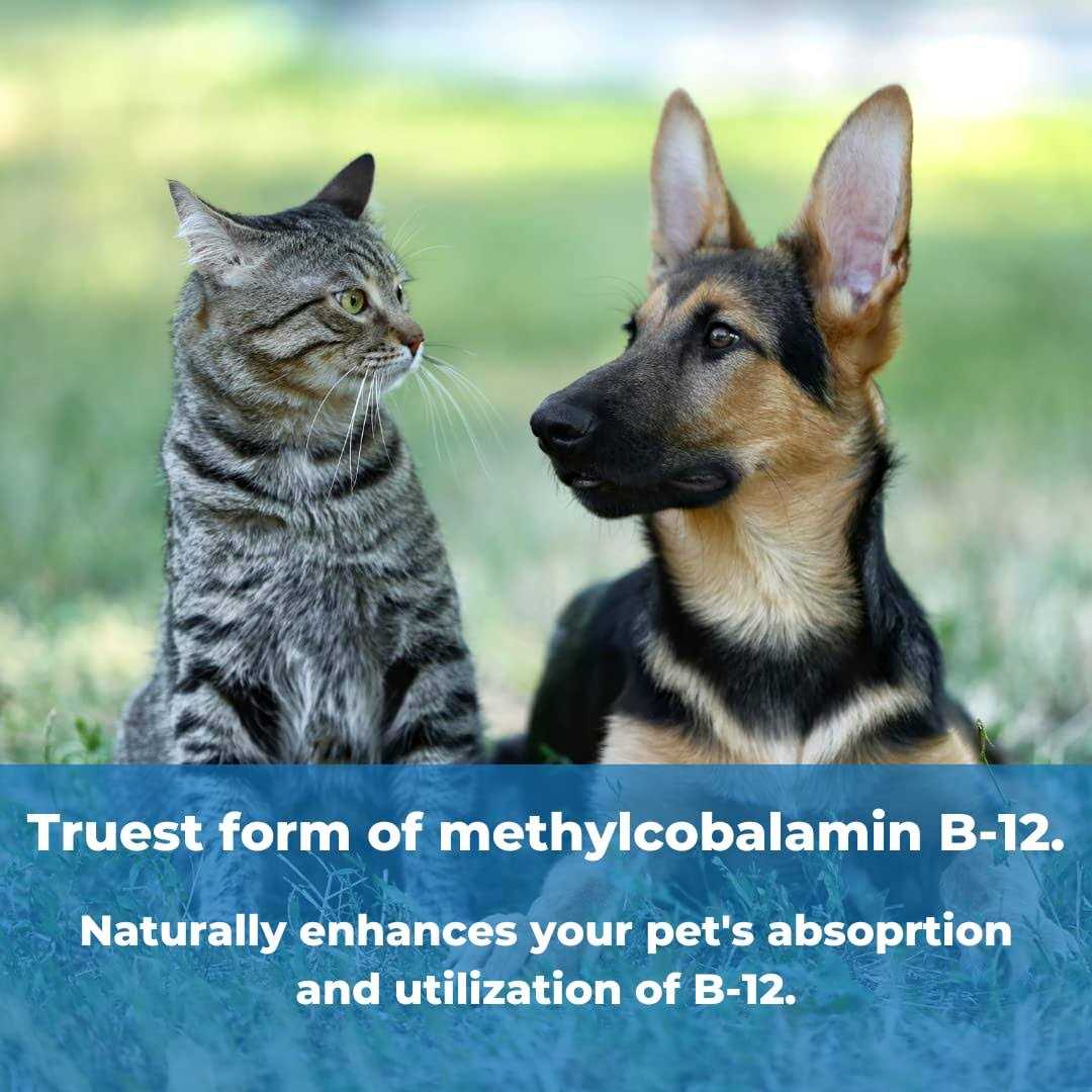 Pet Factor B-12 B-12 H173472