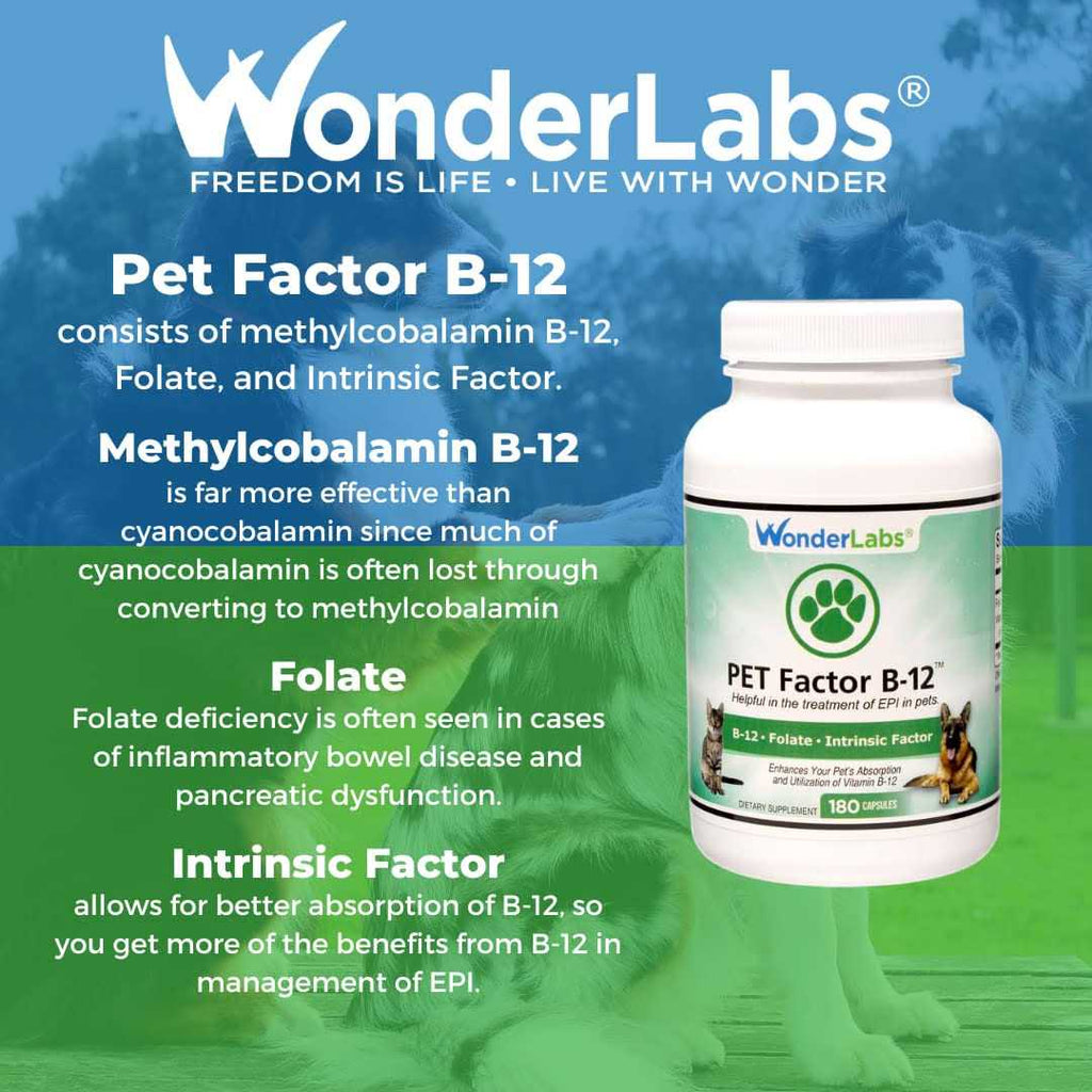 Pet Factor B-12 B-12 H173472
