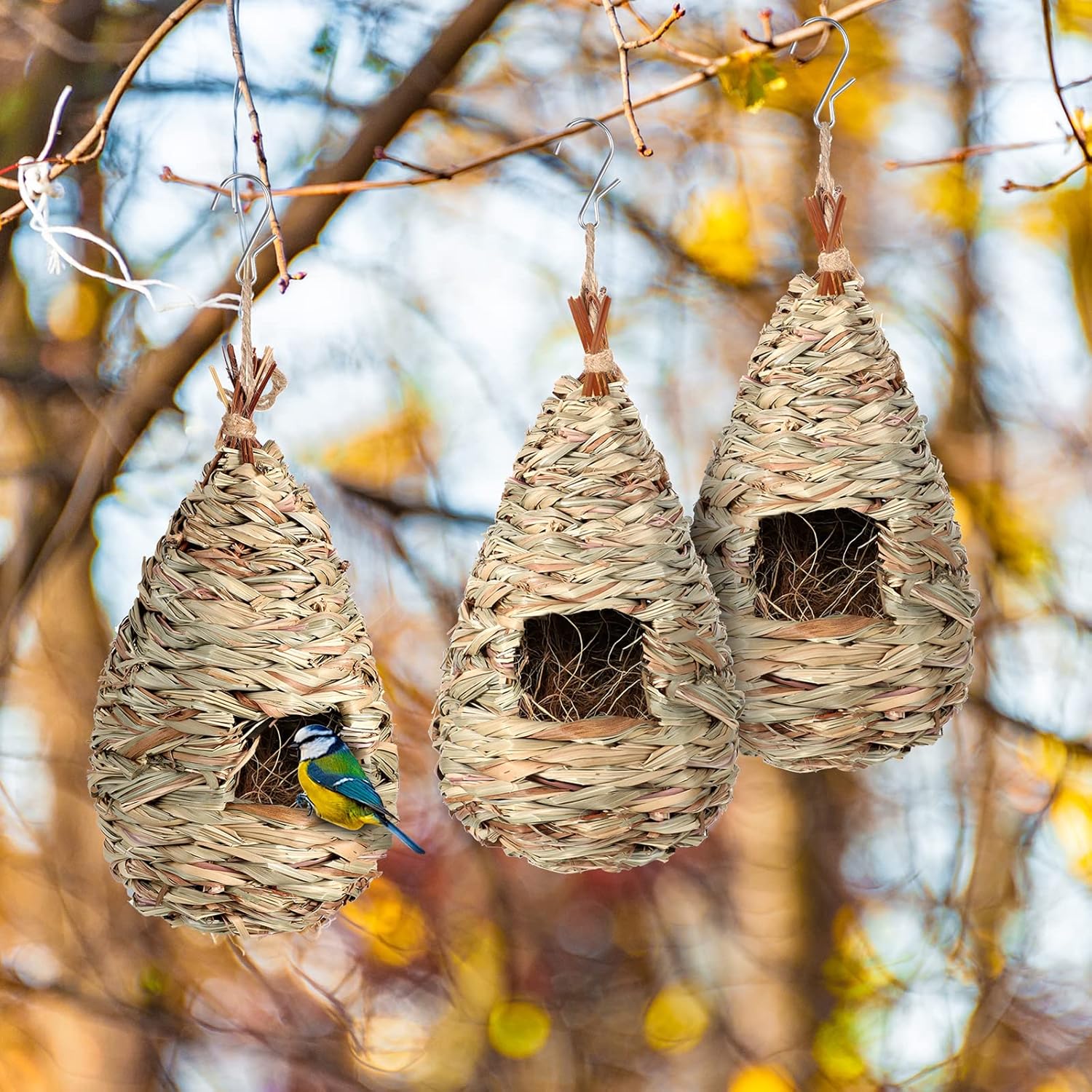 3 Pack Hummingbird Nest House with Coconut Fiber Nesting Material Red Ribbon Woven Nest H483769