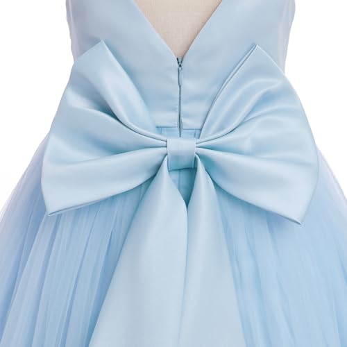 Embroidery Flower Girl Lace Dress Long Gown Tulle Dresses Y47873