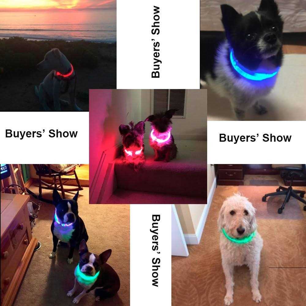 Rechargeable LED Dog Collar A465567