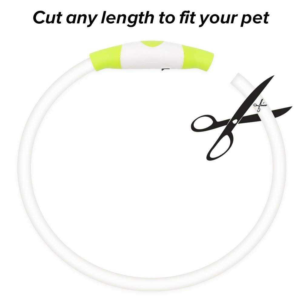 Rechargeable LED Dog Collar A465567