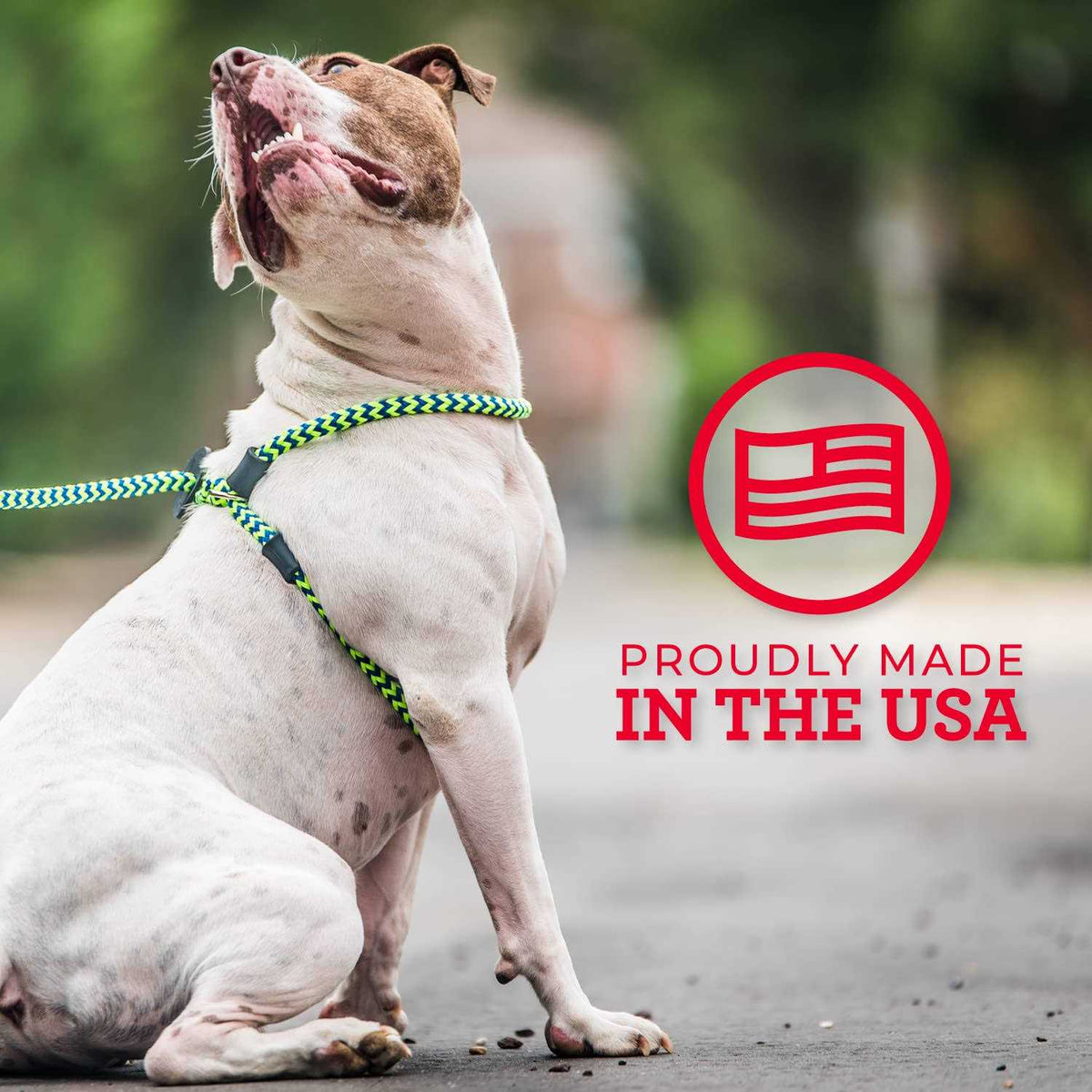 Harness Lead Dog Harness V521666