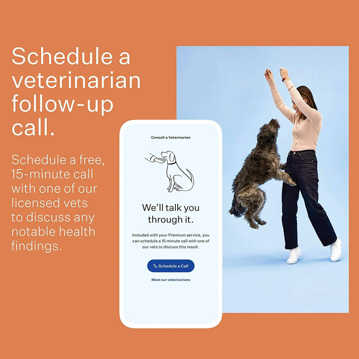 Dog Breed Identification DNA Test Kit N562
