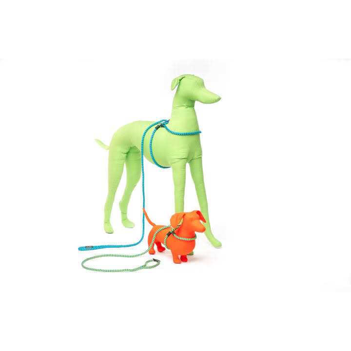 Harness Lead Dog Harness V521666
