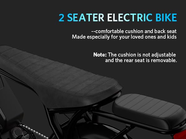 Electric Bike with 20" Fat Tire, 7-Speed Gear, Removable Battery E789548