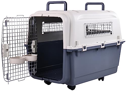 Plastic Airline Approved Travel Dog Crate, Medium R680