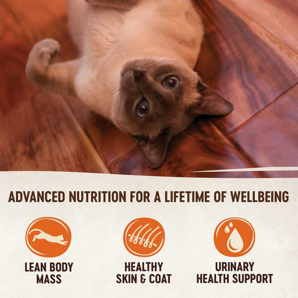 Natural Grain Free Indoor Chicken & Chicken Liver Smooth Pate Wet Canned Cat Food E9760