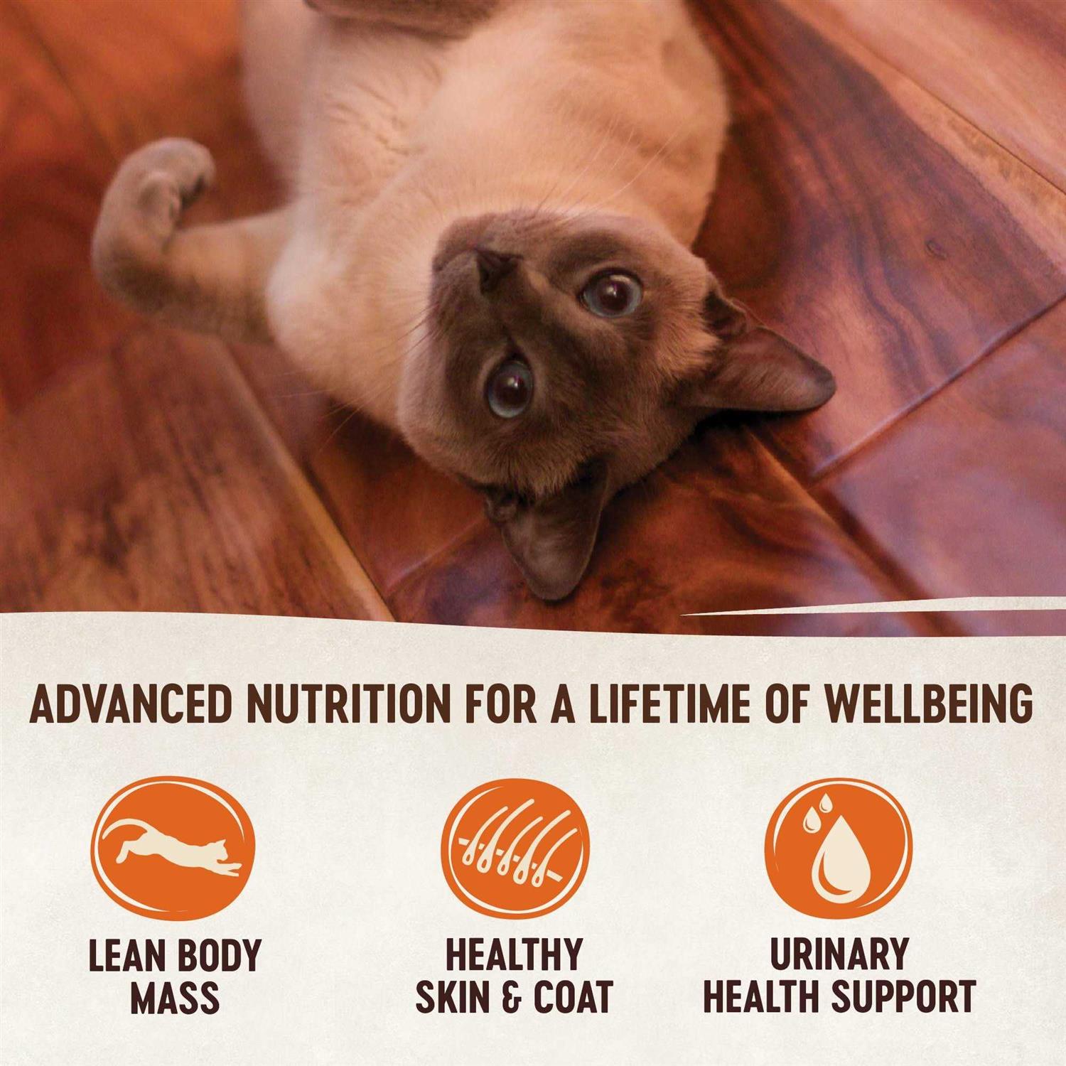Natural Grain Free Indoor Chicken & Chicken Liver Smooth Pate Wet Canned Cat Food E9760
