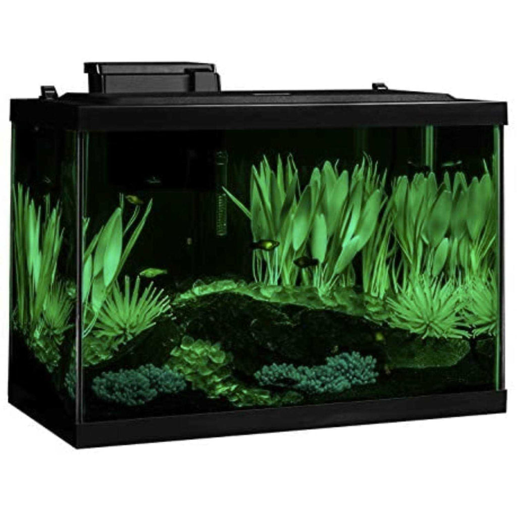 20 Gallon Fish Tank Kit with LED Q482