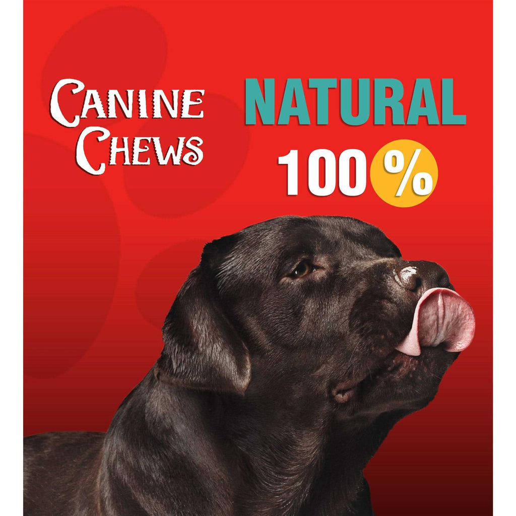 10-11 Dog Rawhide Retriever Rolls S62201