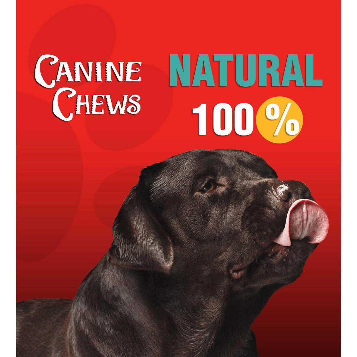 10-11 Dog Rawhide Retriever Rolls S62201