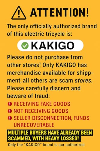 Electric Tricycle with 500W Motor, 20"x4.0" Fat Tire, 48V15Ah Battery L5718