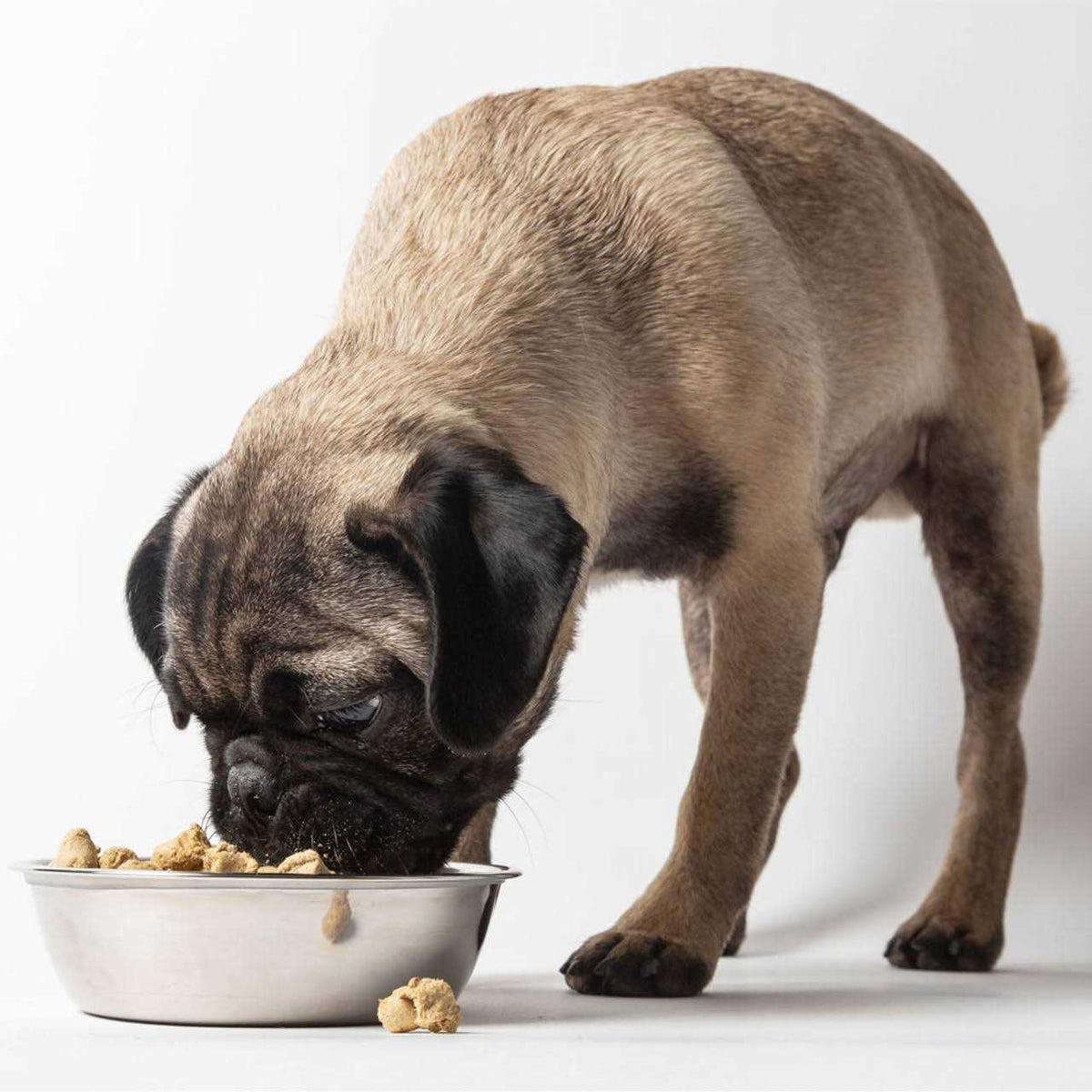 Freeze-Dried Dog Food A39338