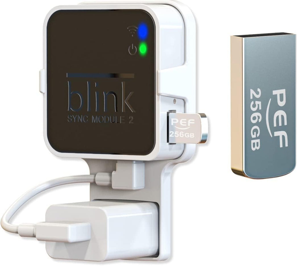 256GB USB Flash Drive for Blink Sync Module 2 M4992