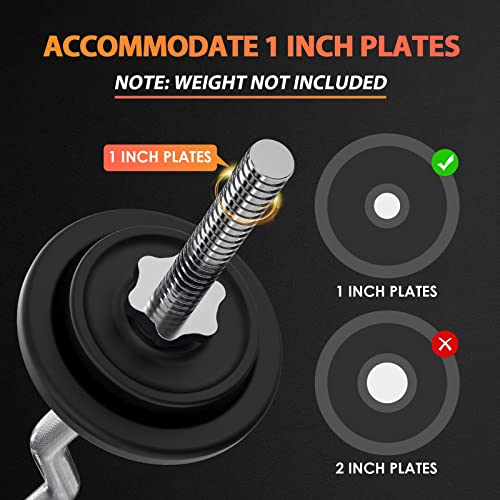 47" EZ Curl Bar Weight Lifting Bar with 2 Star Collars P652