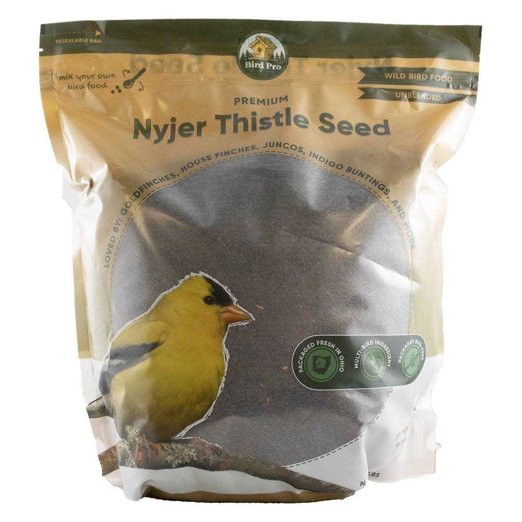Nyjer Thistle Seed Y633486