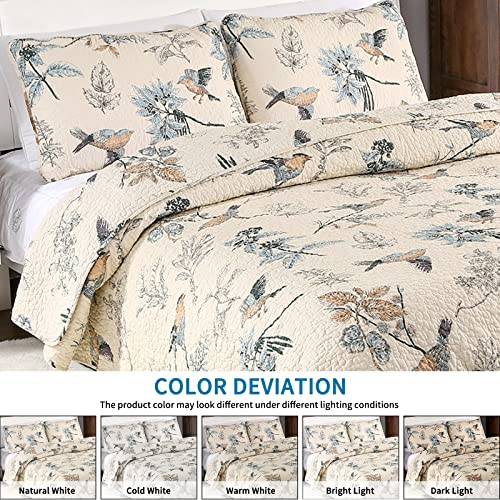3 Piece Queen Cotton Quilt Set with Pillowcases L694490
