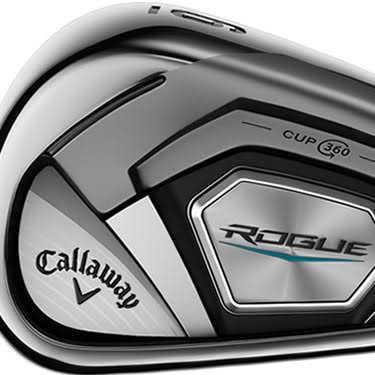 Steel Golf Irons R309