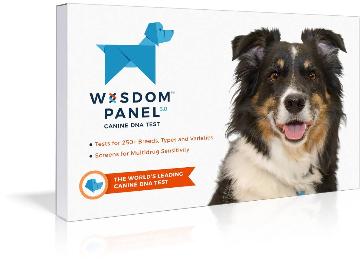 Dog Breed Identification DNA Test Kit N562