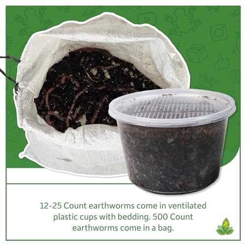12 count Live Feed Reptile Food T54493