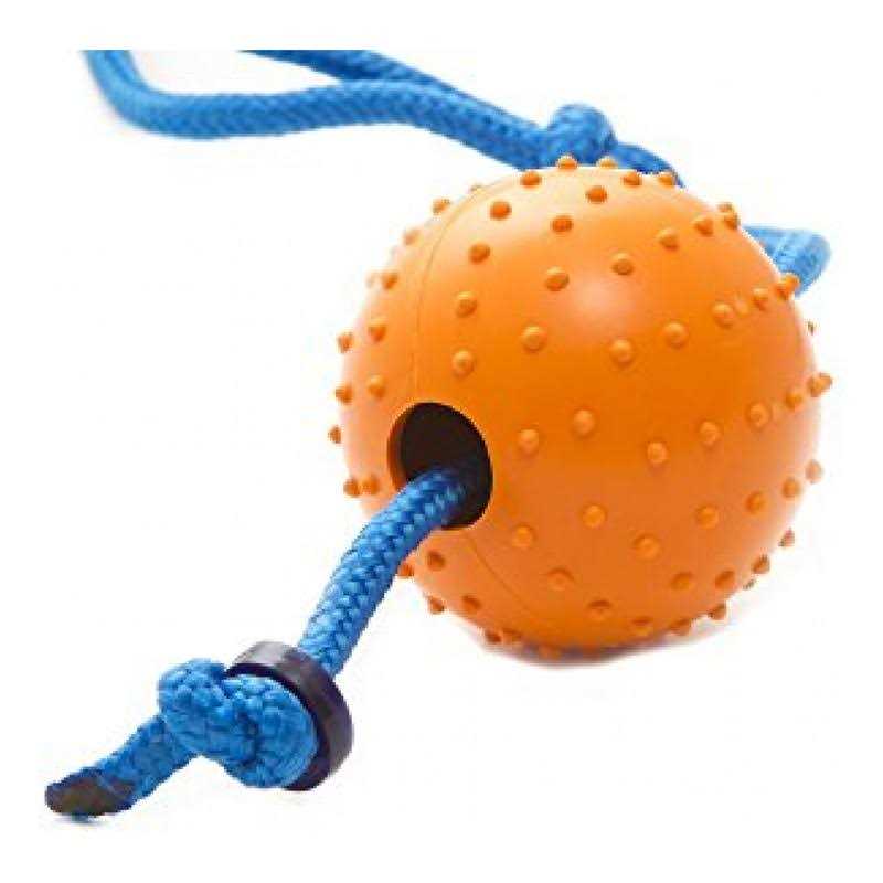 Snitch Pet Squeaker Toy K187