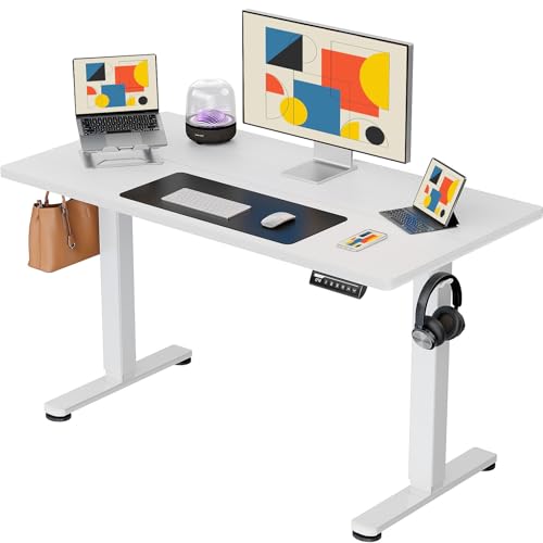 48 x 24 Inches Height Adjustable Electric Standing Desk with Memory F174