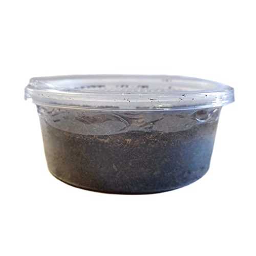 12 count Live Feed Reptile Food T54493