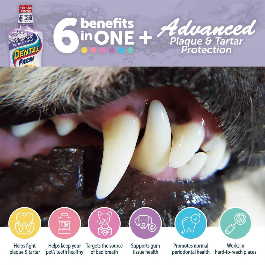 Dental Fresh Advanced Plaque and Tartar Water Additive for Dogs Y83085