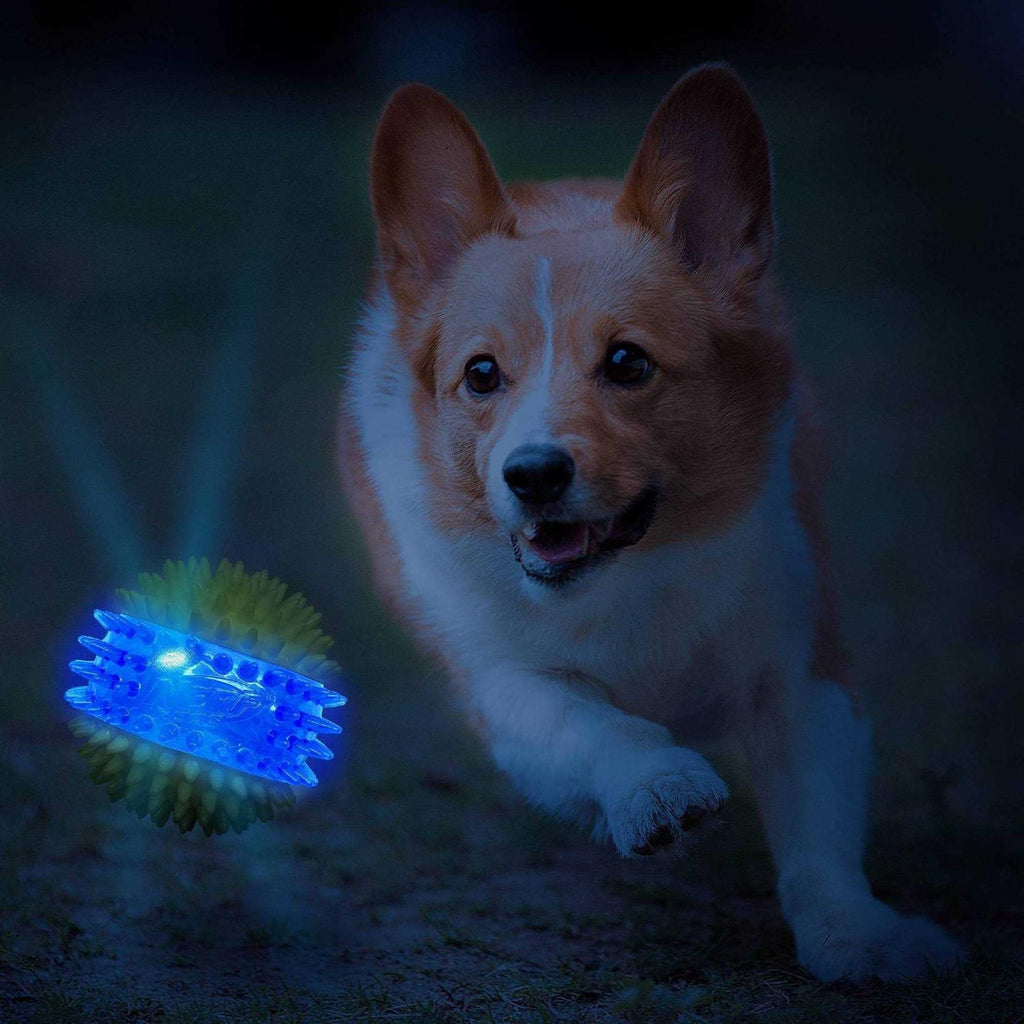 Translucent TPR 3-Part Spike LED & Squeak Ball Dog Toy K462644