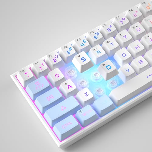 Mini 60% RGB Backlit 61 Key Ultra-Compact Mechanical Feeling Keyboard (Black) G7411
