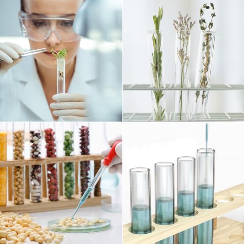 4 Tube Clear Glass Propagation Stations U42093