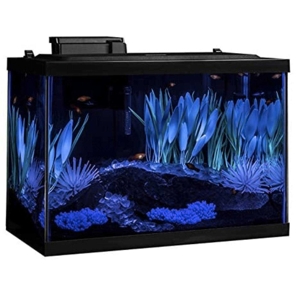 20 Gallon Fish Tank Kit with LED Q482