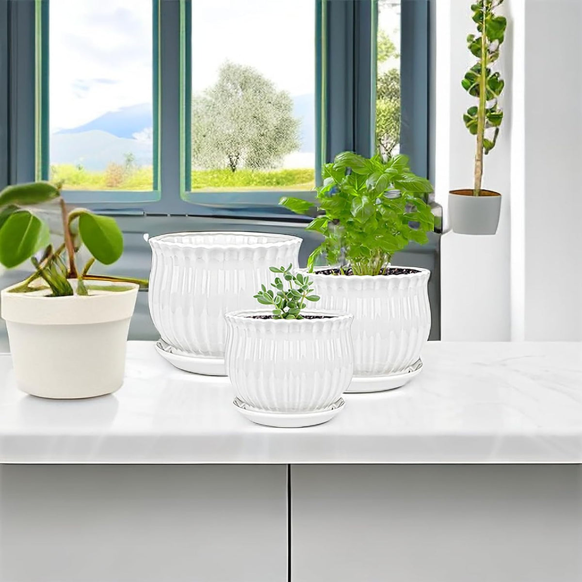 Ceramic Flower Plant Pots with Saucer, Set of 3 in Different Sizes Q396