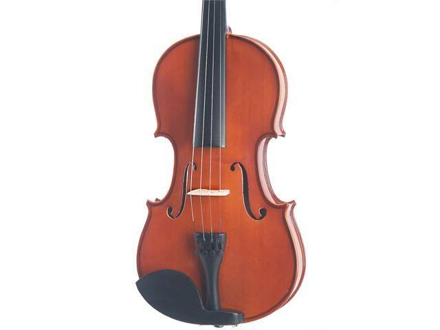 14-inch Solid Wood Viola with Case, Bow, Rosin, Bridge and Strings E51079