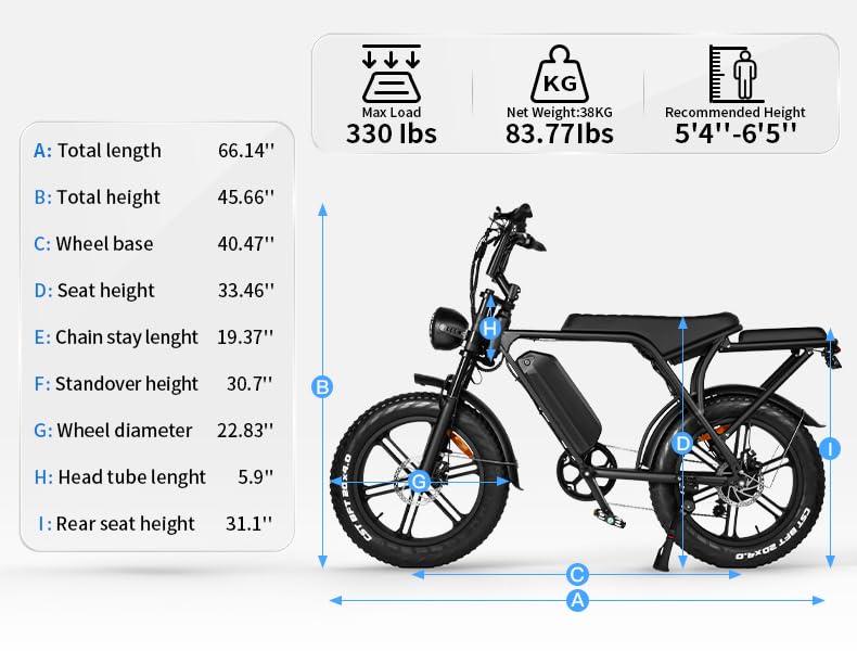 Electric Bike with 20" Fat Tire, 7-Speed Gear, Removable Battery E789548