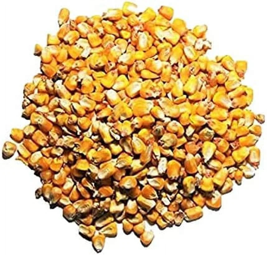 Whole Corn Wild Bird Deer Feed (10LB) H985788